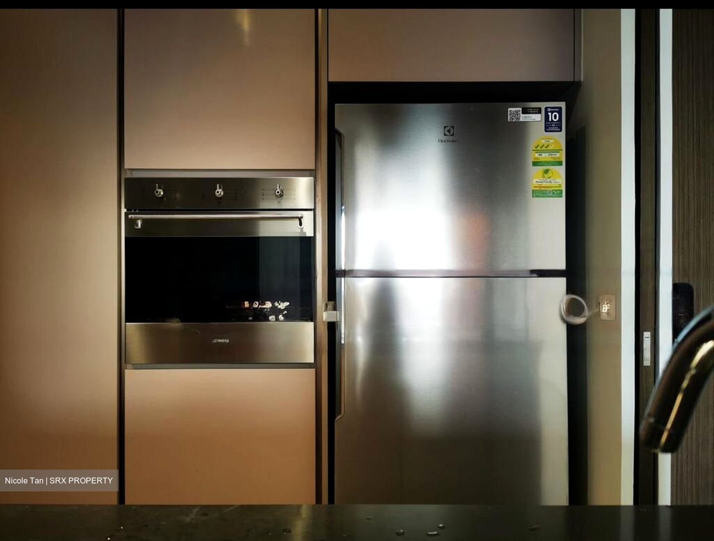 Kopar At Newton (D9), Apartment #456431761